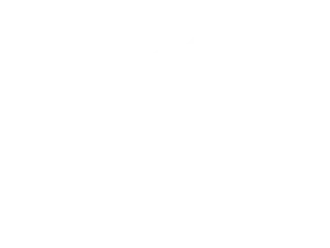 Melbourne Storm logo